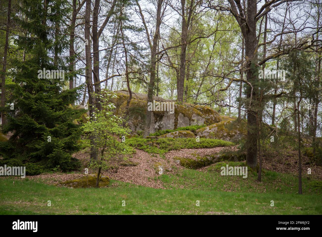 Rocce nel Blockheide, un parco naturale a Gmünd, Waldviertel, Austria Foto Stock