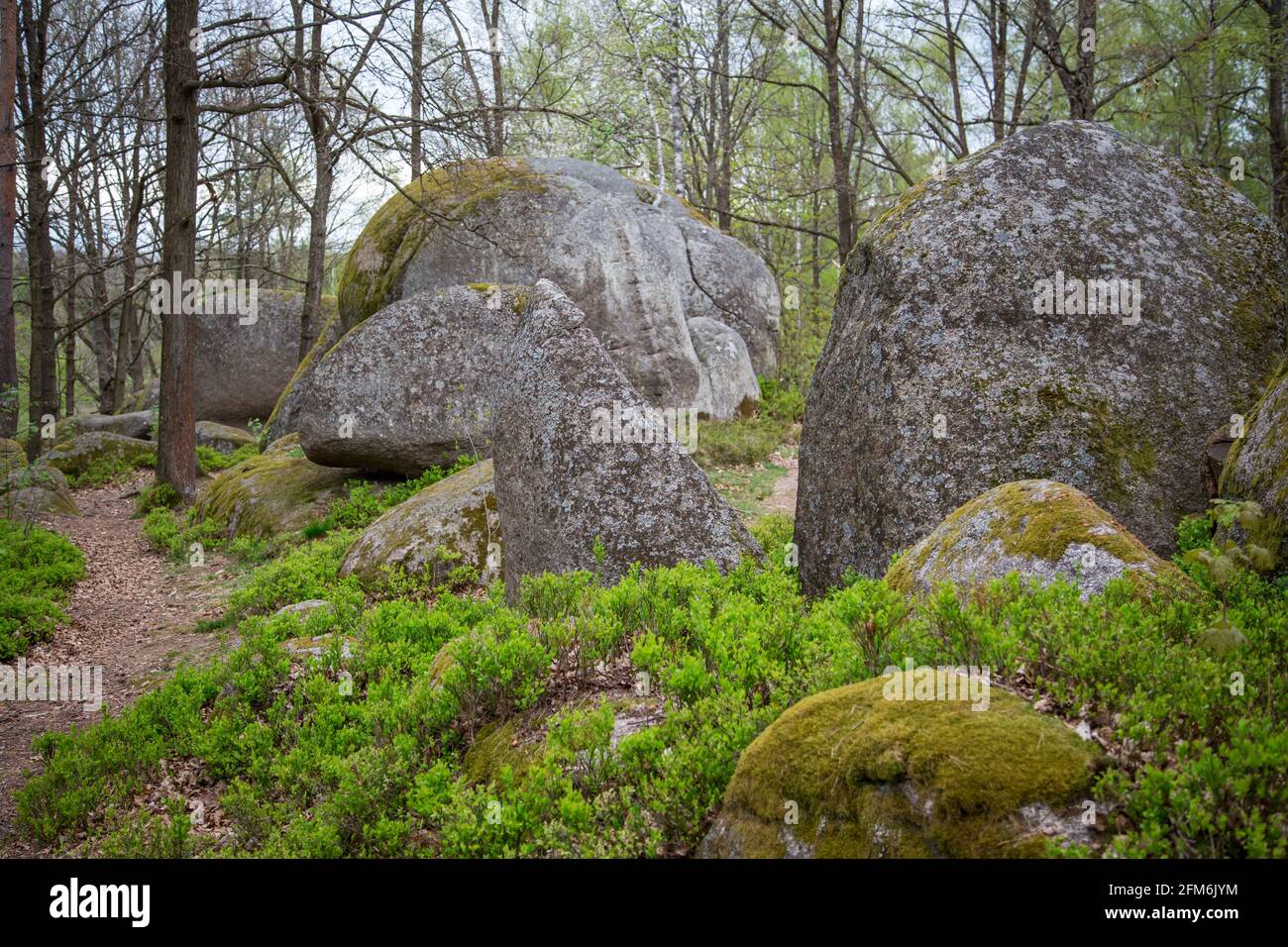 Rocce nel Blockheide, un parco naturale a Gmünd, Waldviertel, Austria Foto Stock