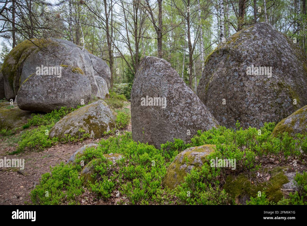 Rocce nel Blockheide, un parco naturale a Gmünd, Waldviertel, Austria Foto Stock