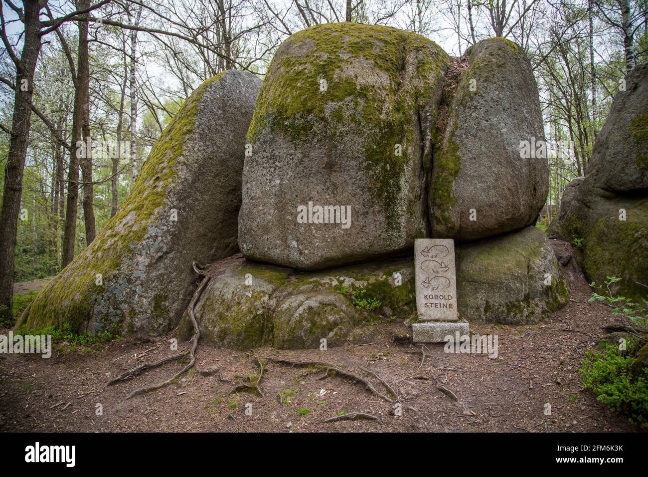 Koboldsteine, rocce nel Blockheide, Gmünd, Waldviertel, Austria Foto Stock