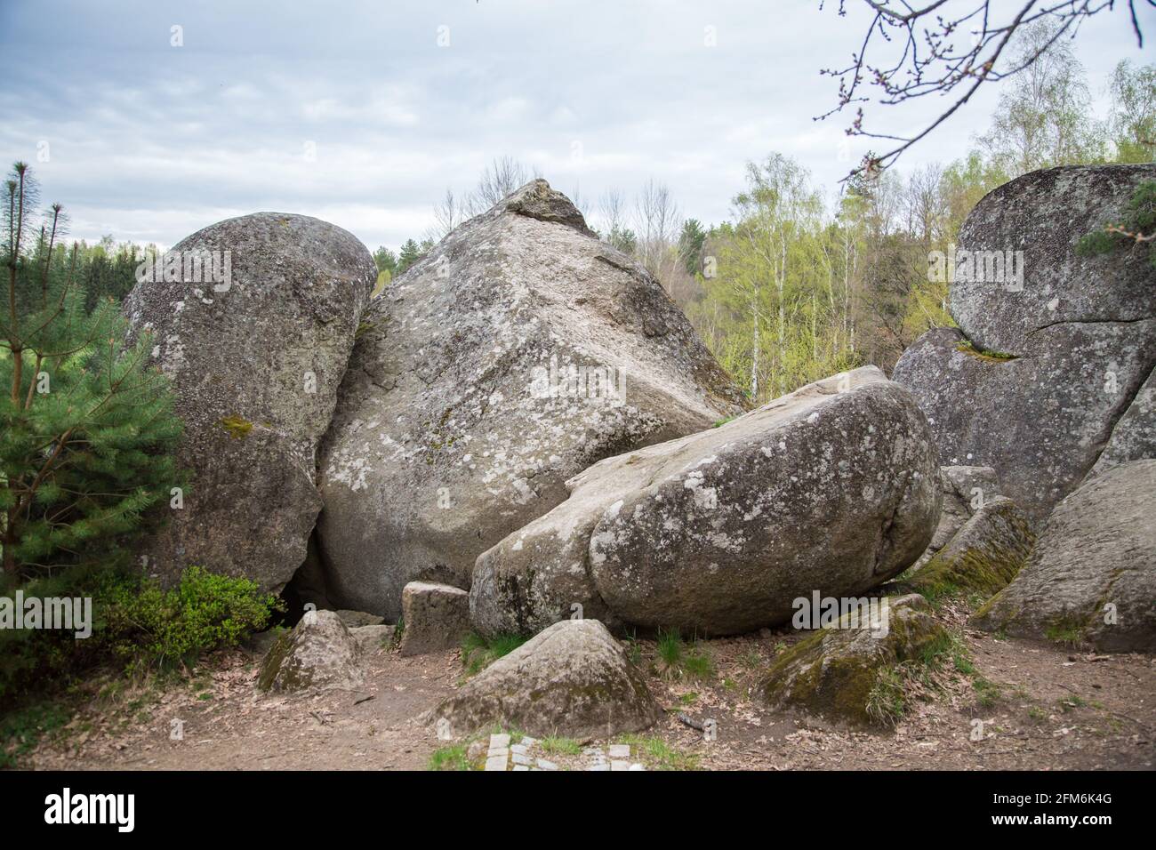 Rocce nel Blockheide, un parco naturale a Gmünd, Waldviertel, Austria Foto Stock