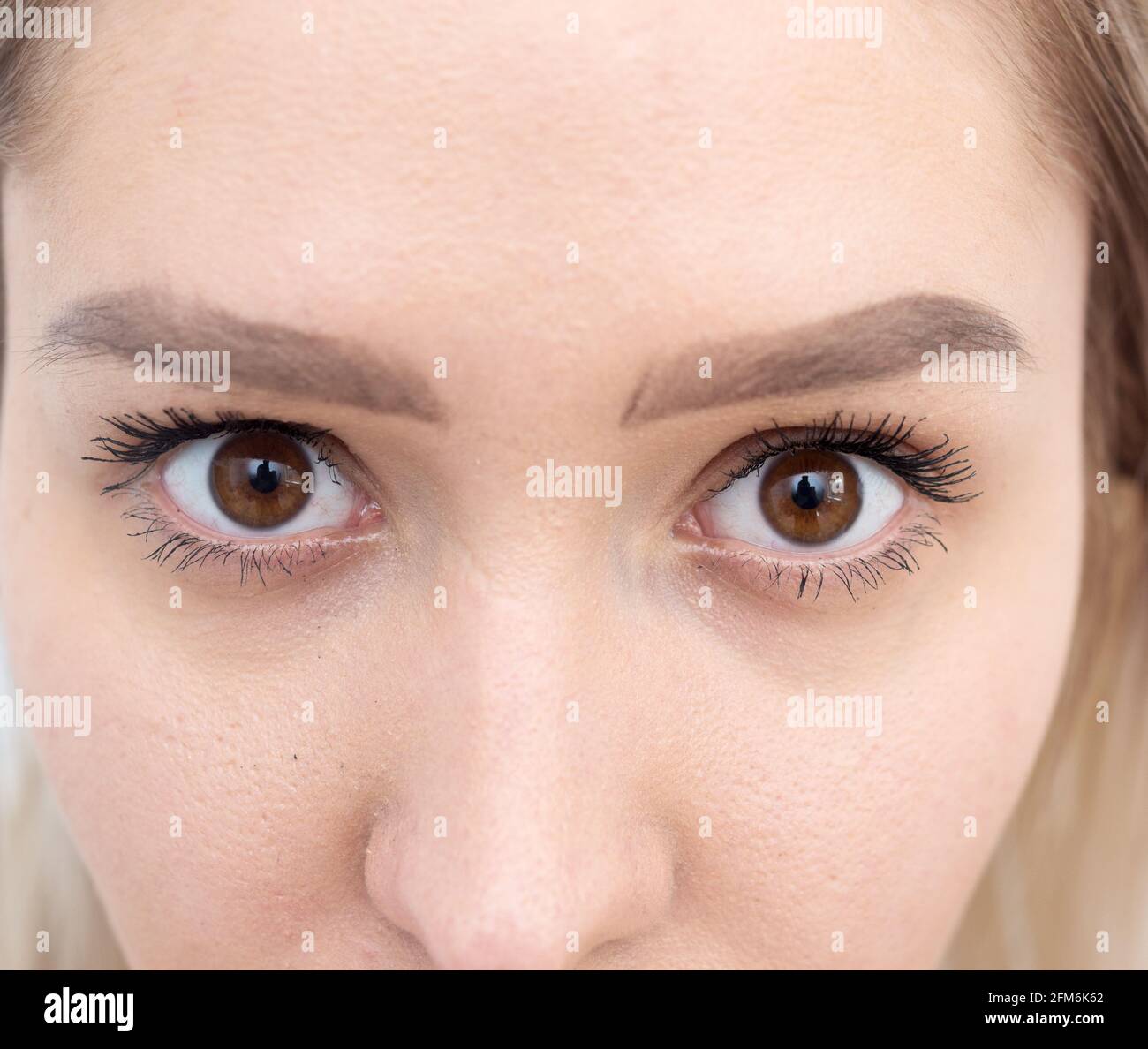Immagine di una donna che fissa la macchina fotografica Foto Stock