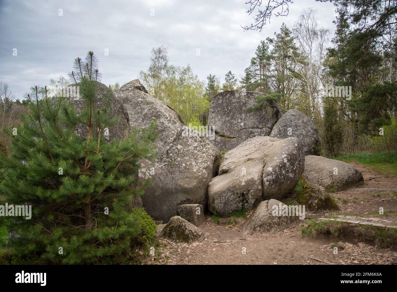 Rocce nel Blockheide, un parco naturale a Gmünd, Waldviertel, Austria Foto Stock