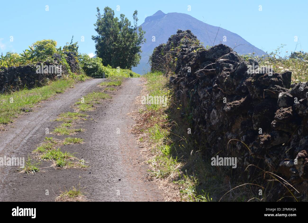 Strade rurali nell'isola di Pico, arcipelago delle Azzorre Foto Stock