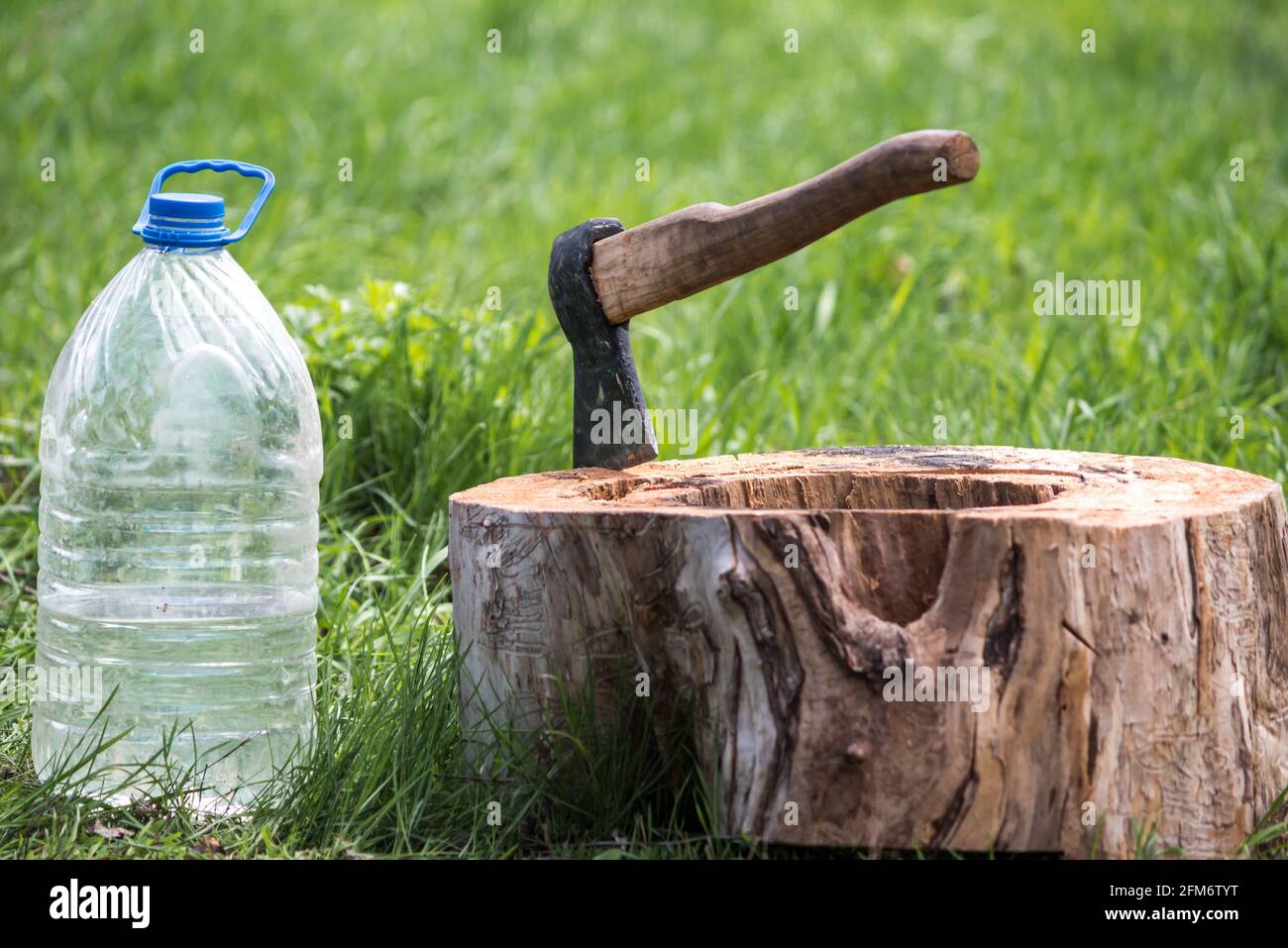 vecchio ascia in un ceppo di legno e un vaso di picnic in acqua senza persone Foto Stock