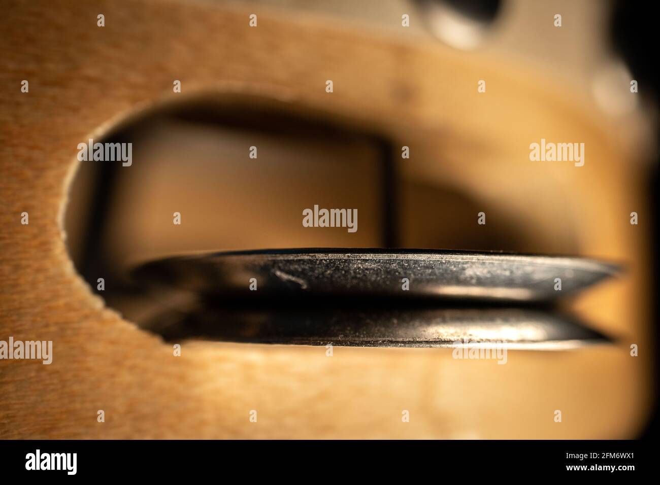 Macro shot di Tambourine Zills Foto Stock