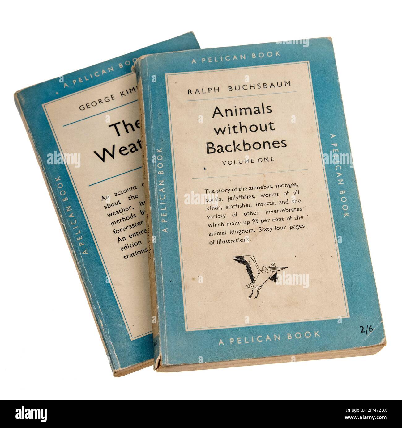 Esempi di libri cartacei Pelican sugli invertebrati e il tempo, pubblicati in questo formato nel 1951 Foto Stock