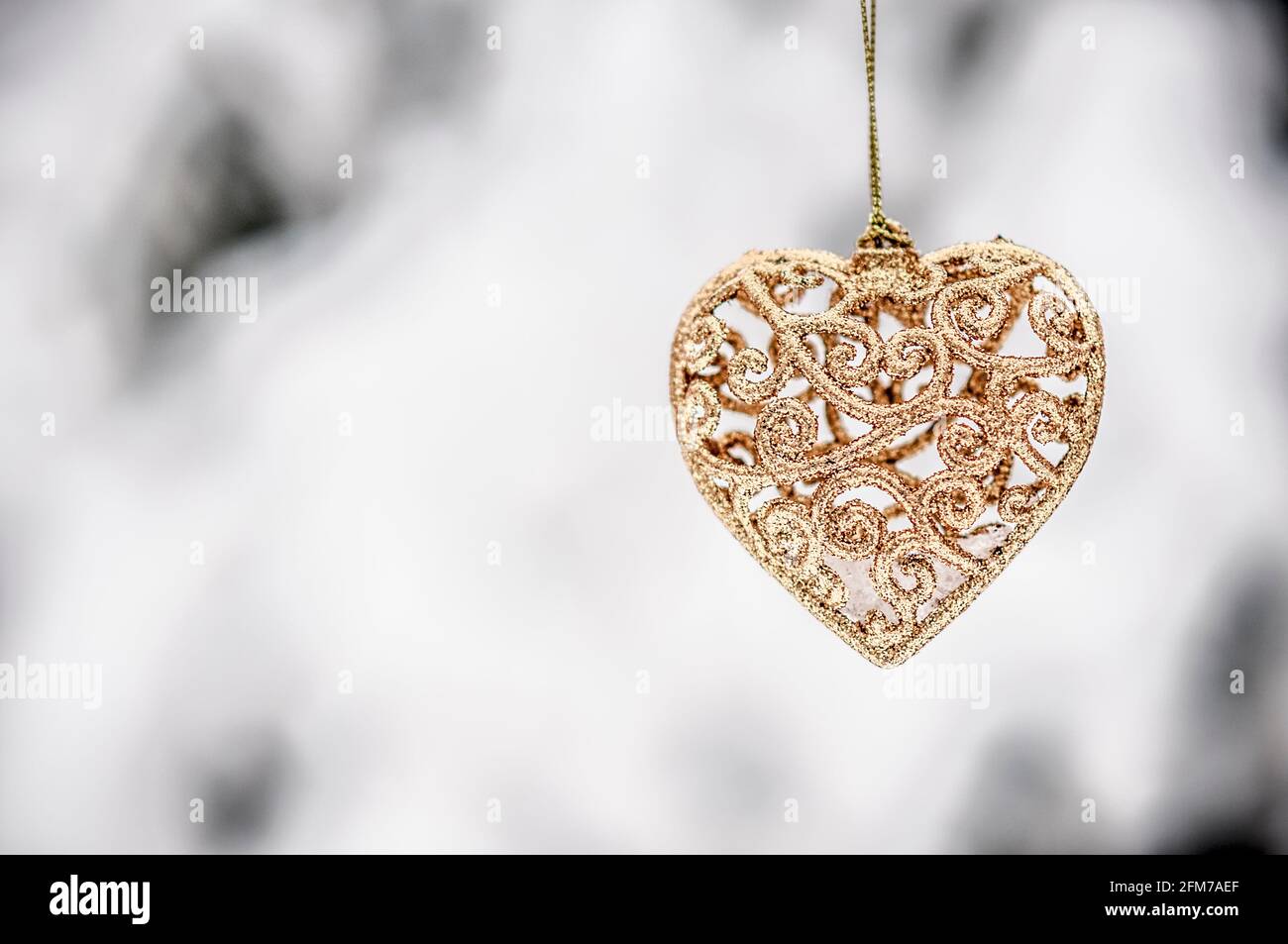 Cuore d'oro nella foresta d'inverno Foto Stock