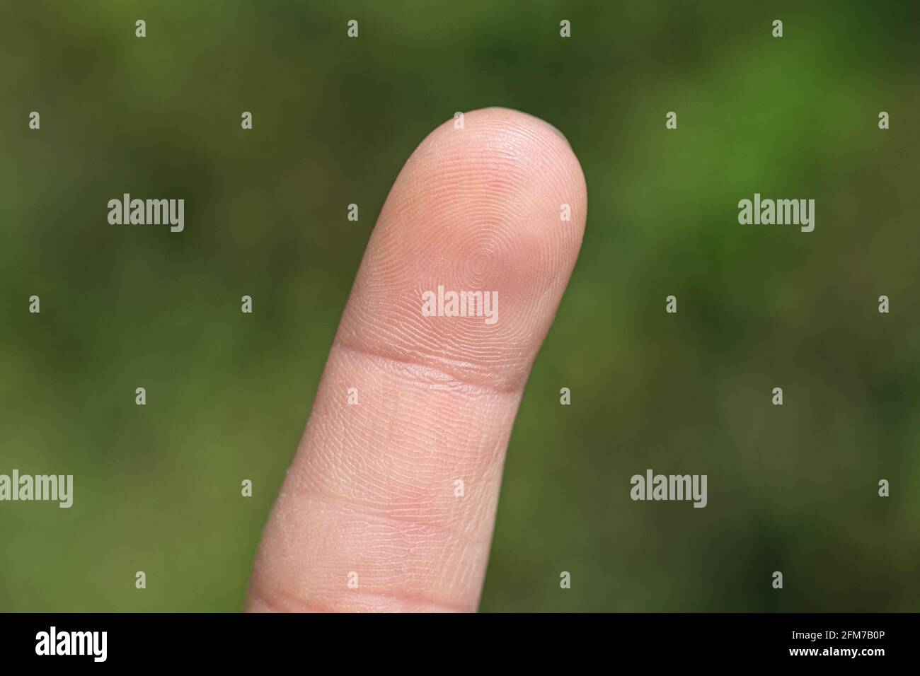 Dati di stampa delle dita uomo isolato, pollice biometrico, accesso per la sicurezza dei dati Foto Stock