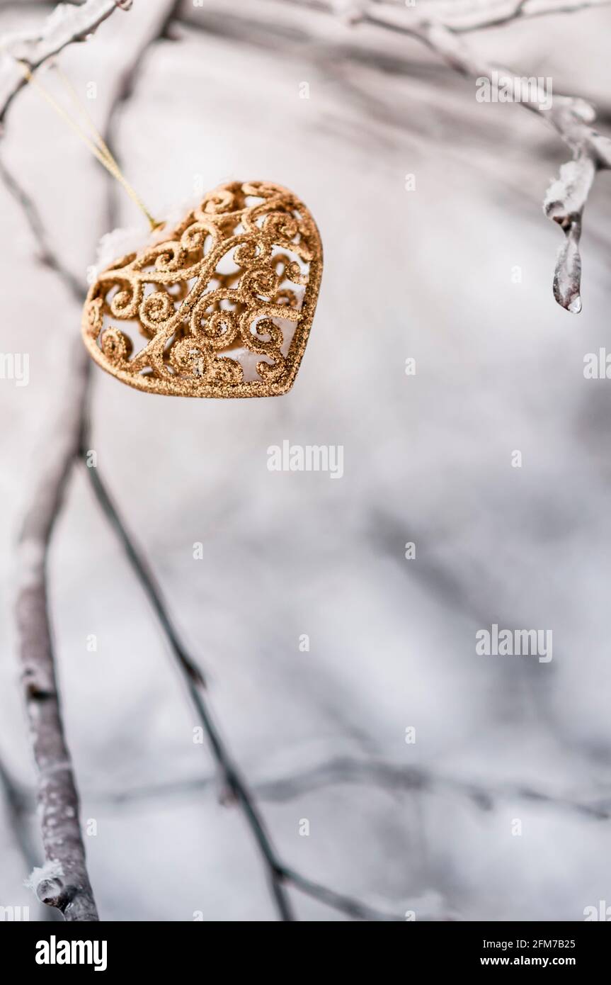 Cuore d'oro nella foresta d'inverno Foto Stock