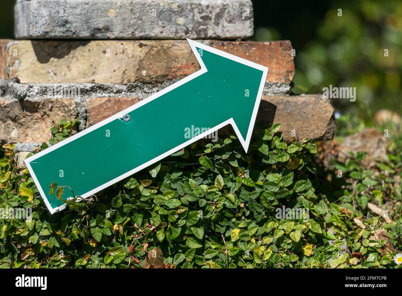 Una freccia verde che mostra la direzione della visita a. Scherrer Park a Morcote Foto Stock