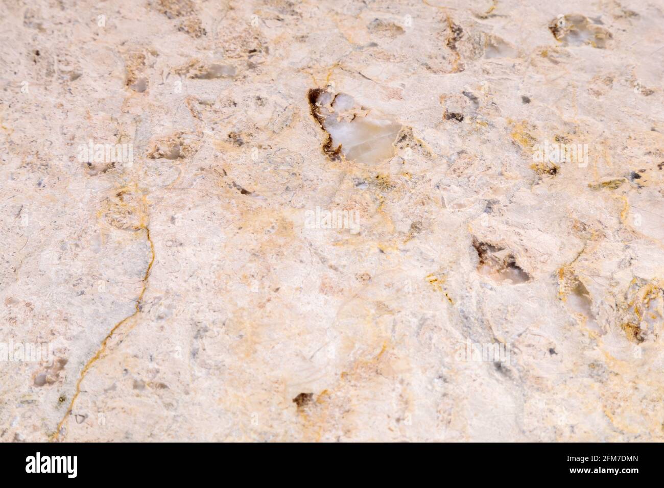 Struttura in pietra naturale dolomitica. Pietra con motivo beige su una superficie liscia. Rifinitura del materiale da costruzione. Foto Stock