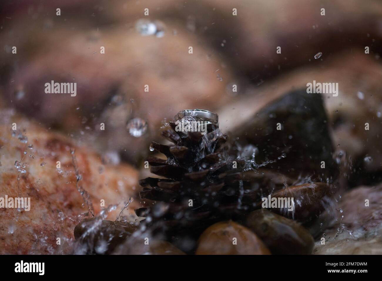 Anello di nozze in acqua con acqua drop.Wedding wedding wedding.Wedding anelli su uno sfondo scuro con acqua drops.Wedding sono disponibili Foto Stock