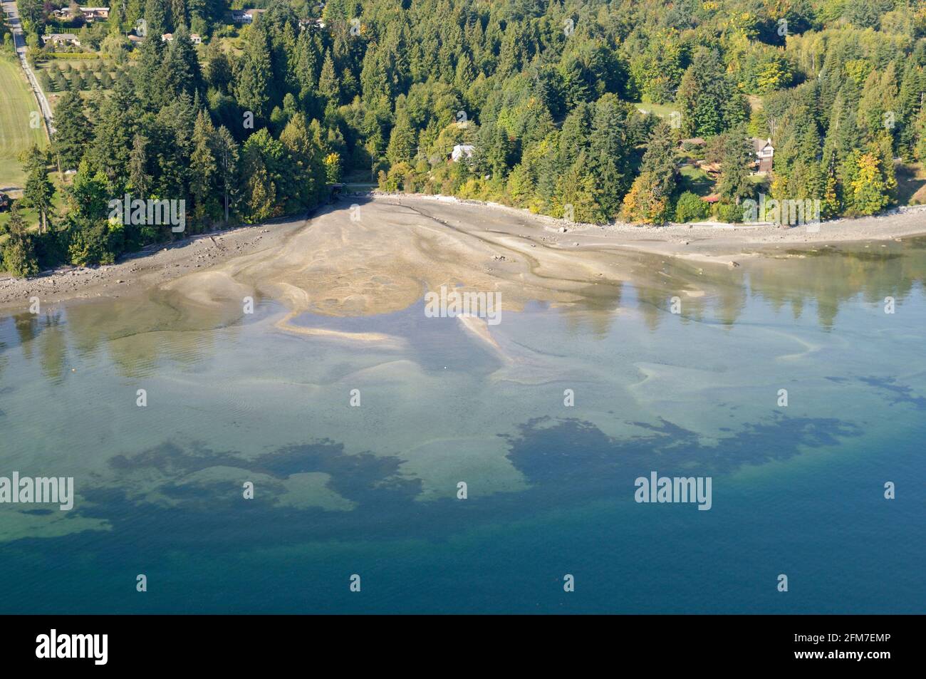 Primo piano foto aerea dell'estuario del Porter Creek, Chemainus, Vancouver Island, British Columbia, Canada. Foto Stock