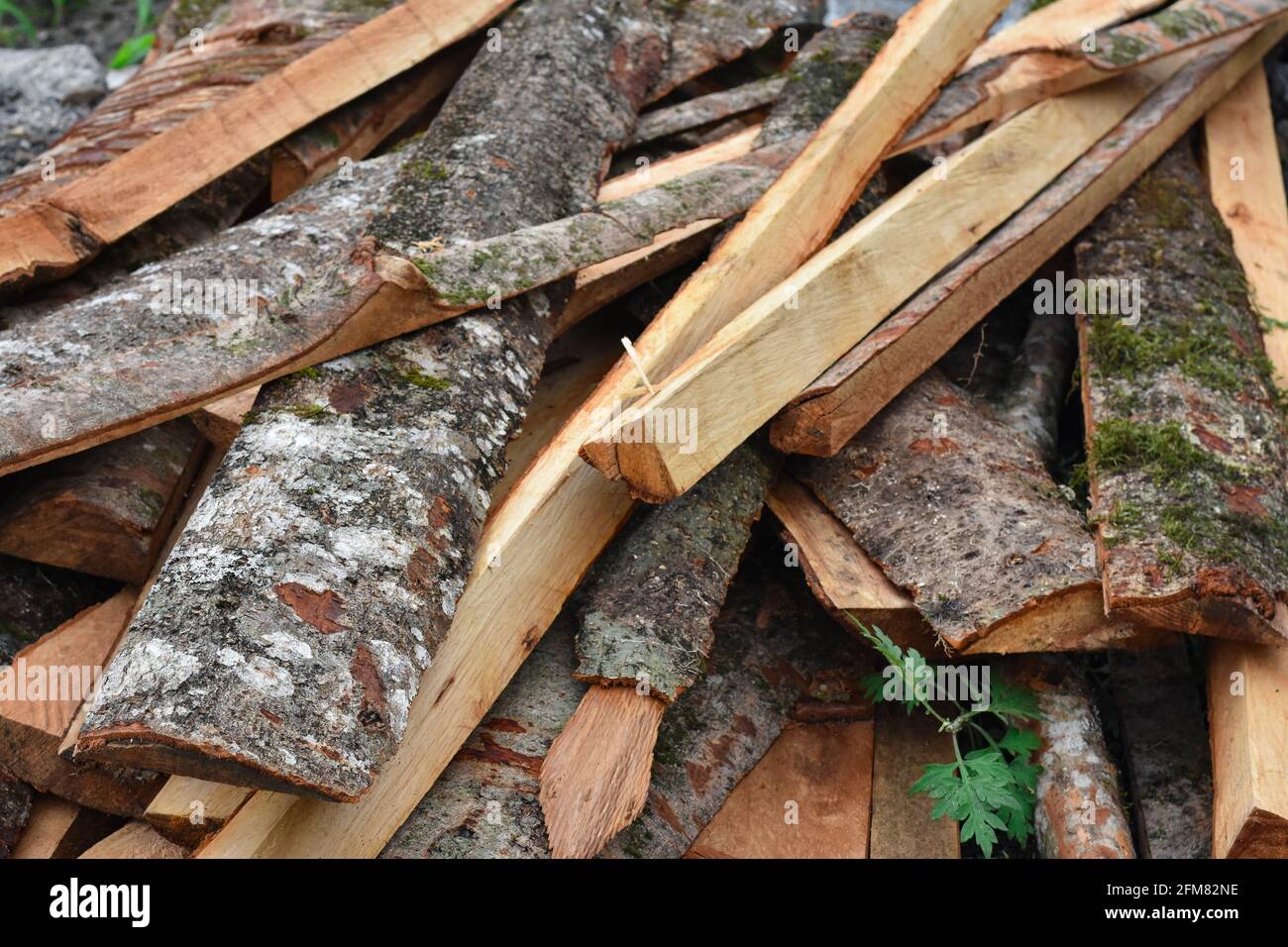 Tronchi d'albero con motivo rosso brunastro in fibra di legno chiaramente visibile Foto Stock
