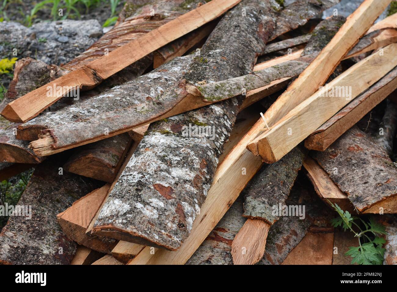 Tronchi d'albero con motivo rosso brunastro in fibra di legno chiaramente visibile Foto Stock