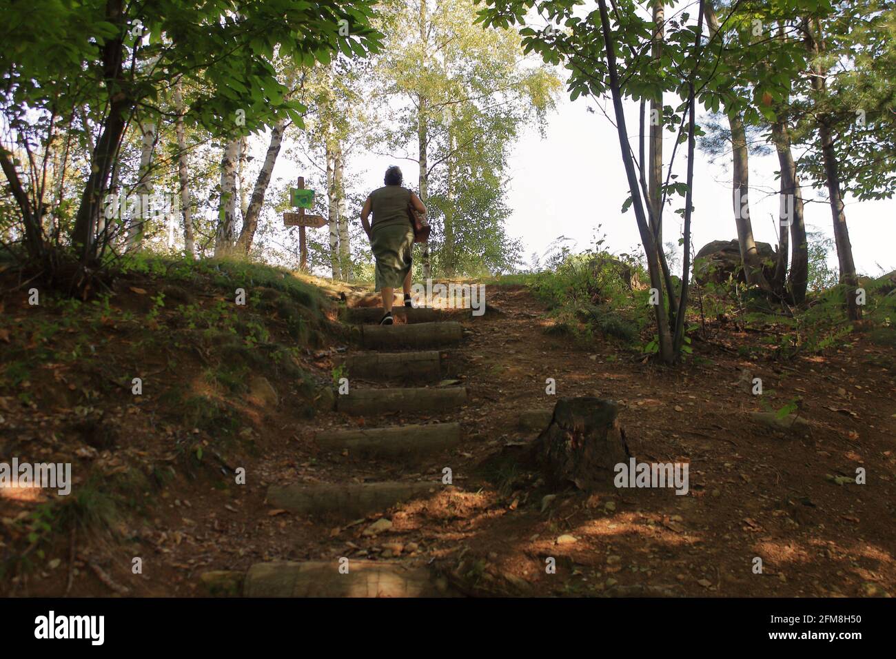 Donna caucasica sale gradini fatti di tronchi su una montagna percorso nel mezzo di una foresta di conifere Foto Stock