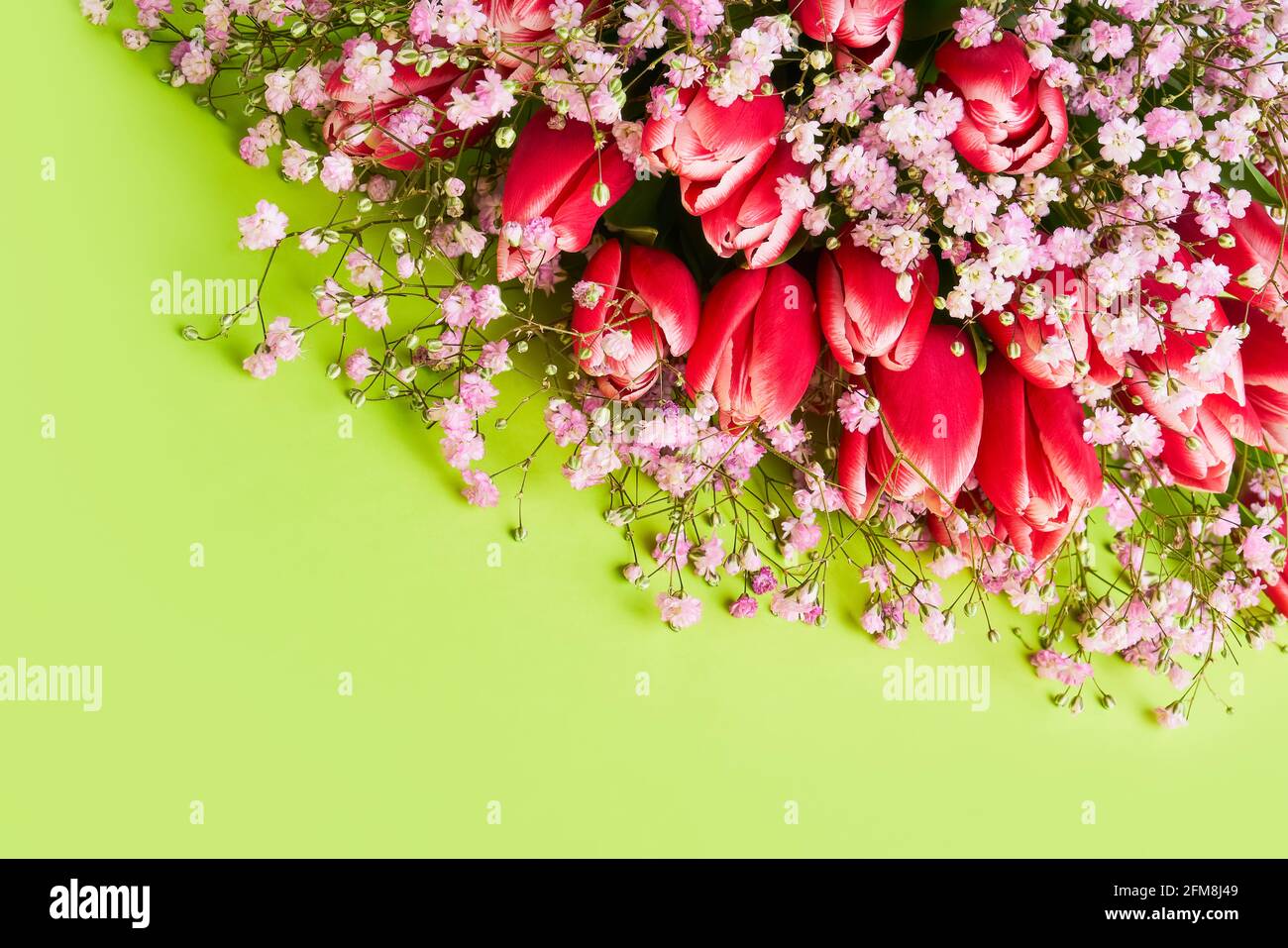 Tulipani rossi e fiori di gypsophila bouquet su sfondo verde, fuoco selettivo. Festa della mamma, concetto di festa di compleanno. Vista dall'alto, spazio di copia Foto Stock