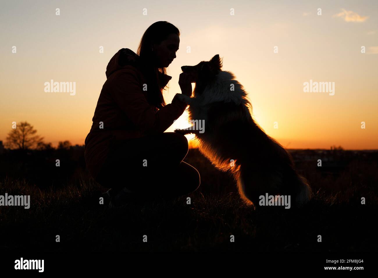 La silhouette di una donna con il suo cane shaggy. Proprietario e animale domestico al tramonto. Foto Stock