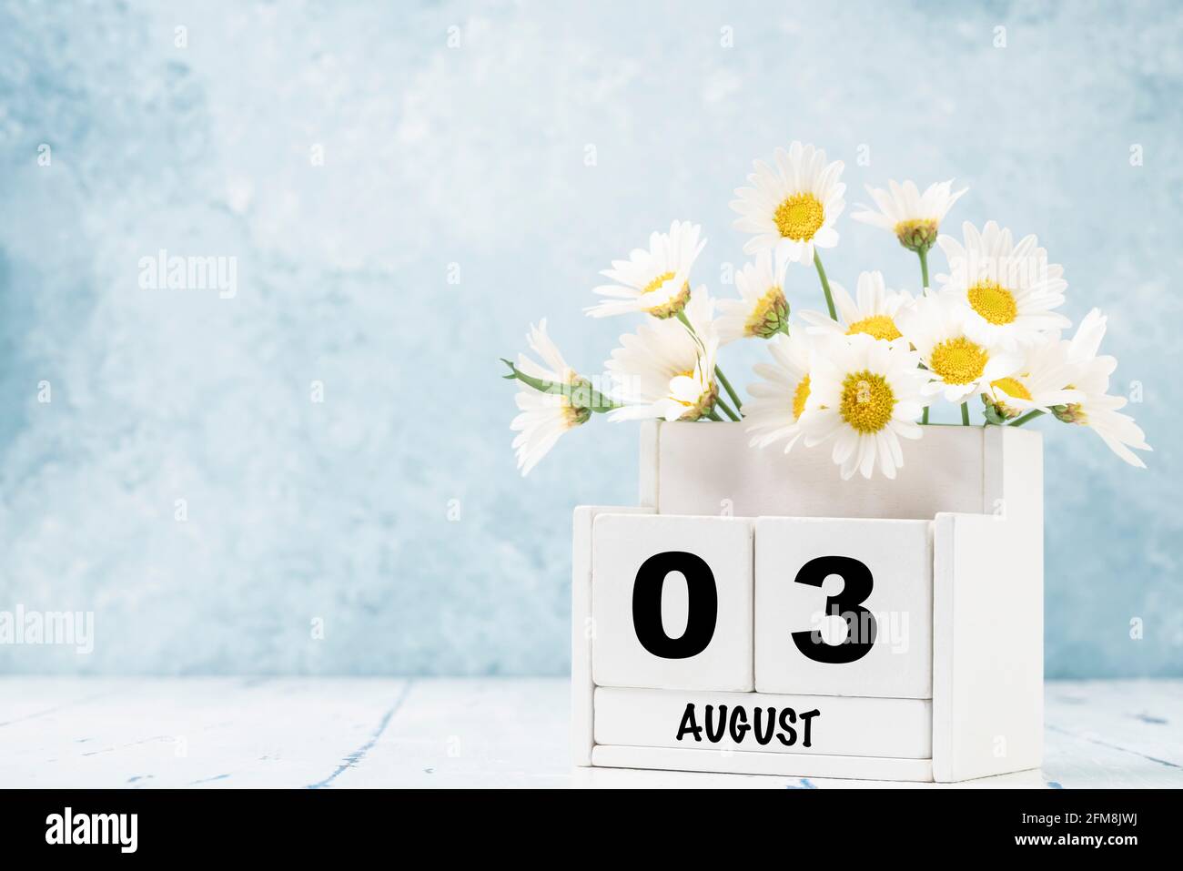 Calendario cubo bianco per agosto decorato con fiori margherita sopra sfondo blu con spazio per la copia Foto Stock