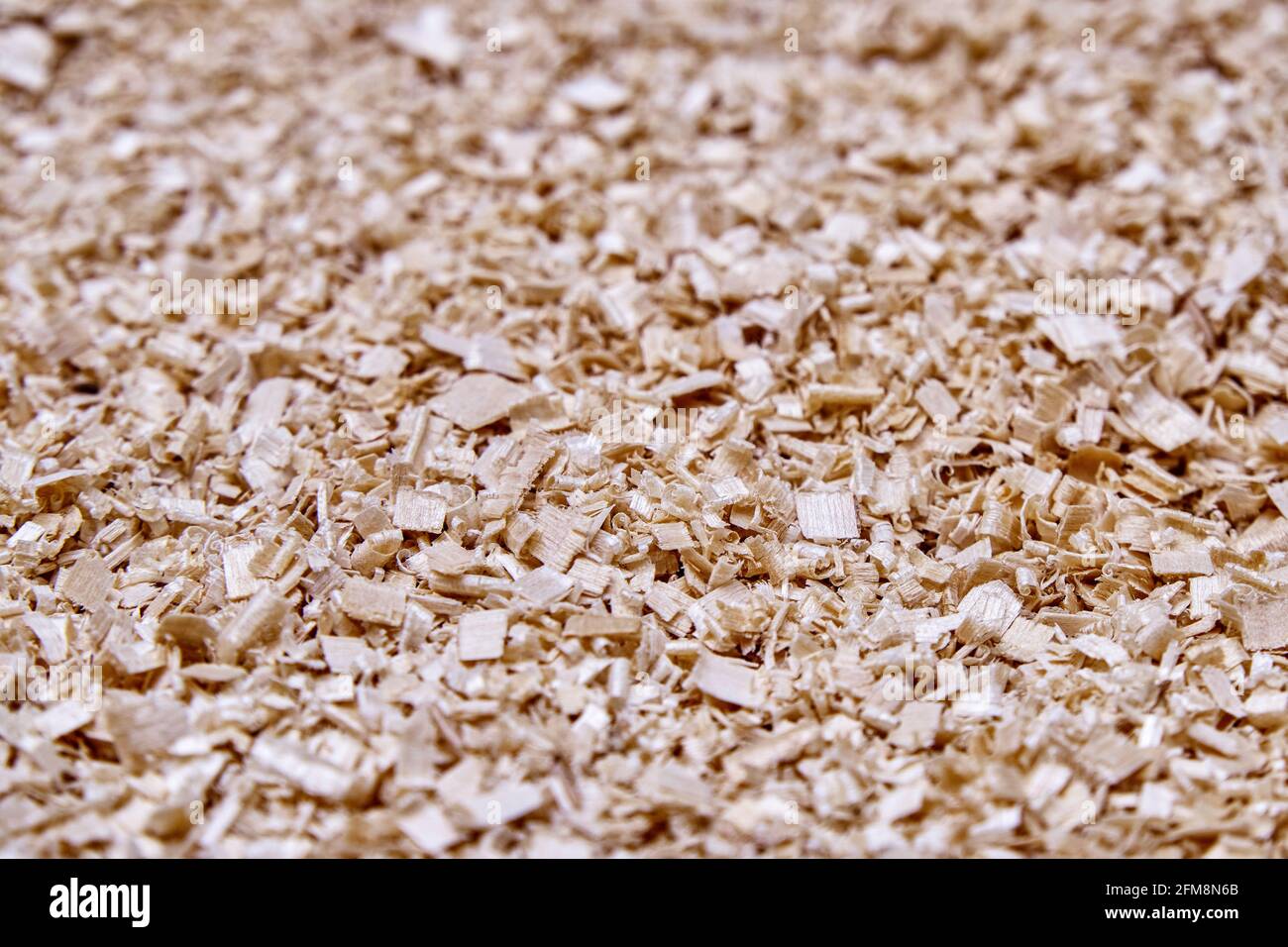 Grande pila di trucioli di betulla beige dopo la lavorazione del legno massello per la produzione di mobili come sfondo vista estrema ravvicinata superiore Foto Stock