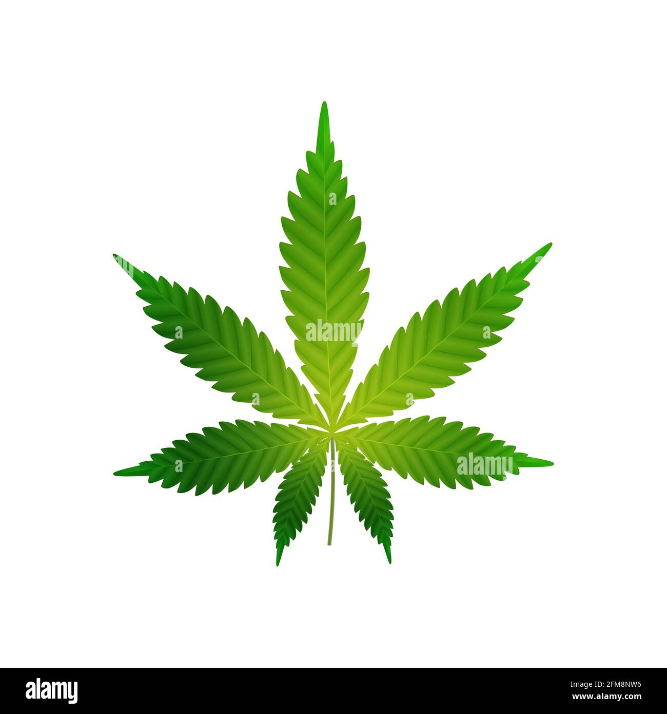 Foglia verde realistica di cannabis isolata su uno sfondo bianco per la tua creatività Foto Stock