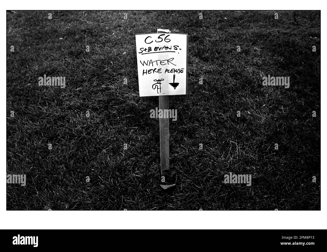 L'elettricità e l'acqua sono fornite per tutti gli stand Giugno 2000 per Lo spettacolo dei Fiori di Hampton Court sara' aperto 4-9 luglio 2000 Foto Stock