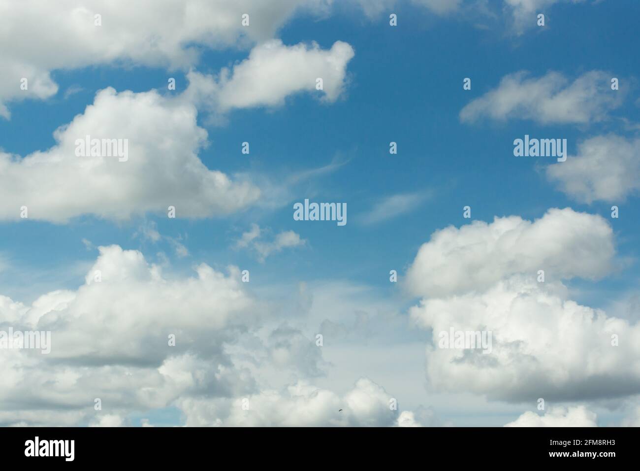 Cielo di primavera blu con nuvole di cumulo bianco soffici Foto Stock