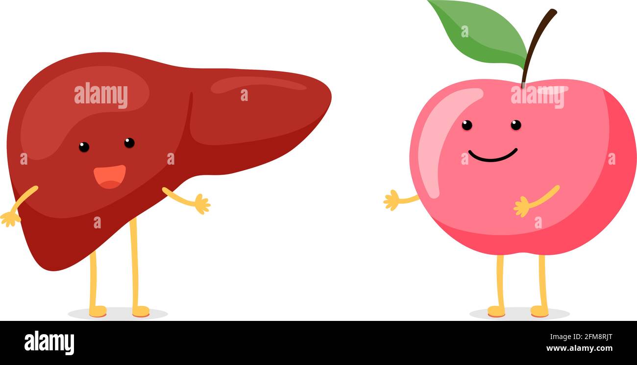 Carino cartone animato sano fegato umano sorridente con felice mela carattere. Vettore divertente reversibile exocrine ghiandola interna organo mascotte. Illustrazione della nutrizione e della dieta dell'alimento Illustrazione Vettoriale