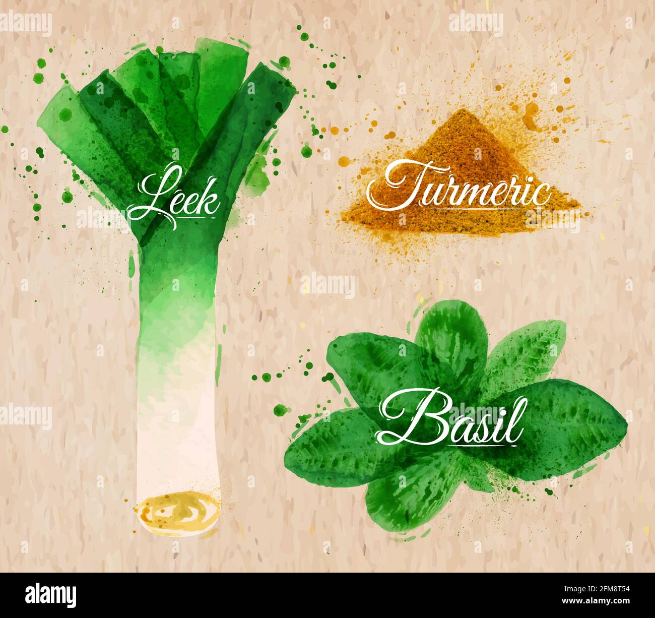 Spezie erbe Set di acquerelli disegnati e macchie con un porri spray, basilico, curcuma su carta kraft Illustrazione Vettoriale