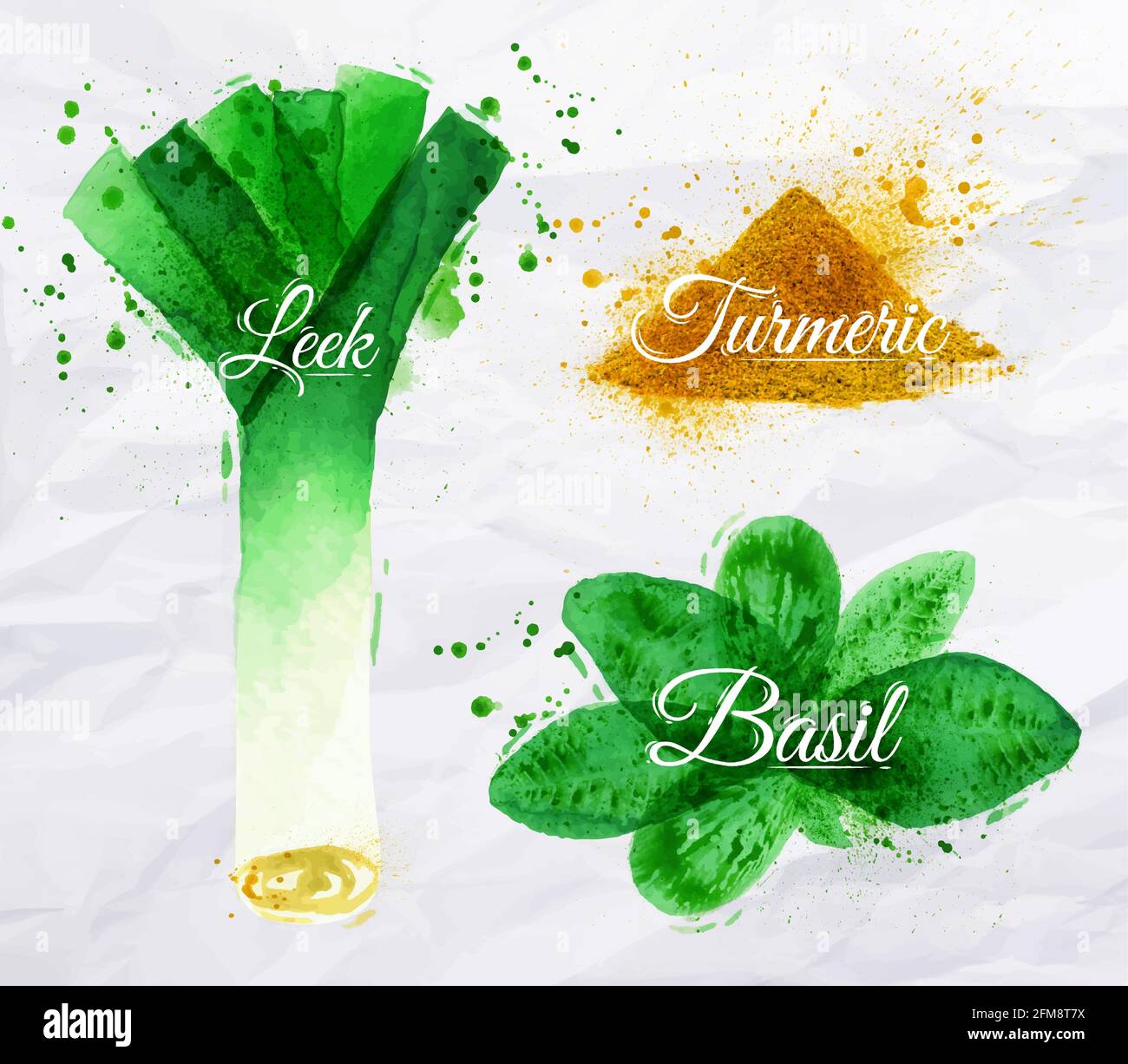 Spezie erbe Set trainato acquerello blot e macchie con uno spray porri, basilico, curcuma Illustrazione Vettoriale
