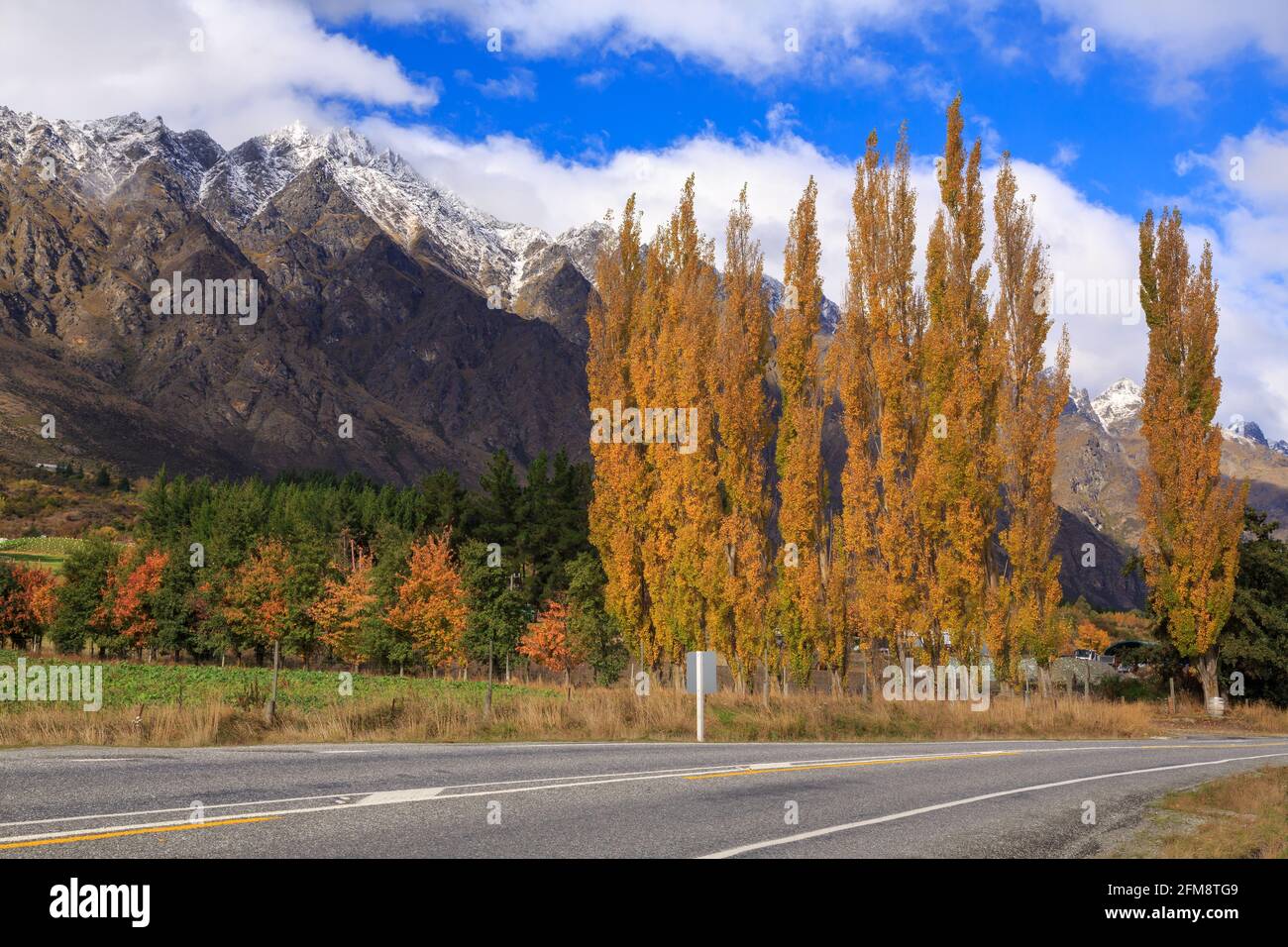 Le Remarkables, una catena montuosa nell'Isola del Sud della Nuova Zelanda. In primo piano è una strada e una fila di alberi di pioppo autunno Foto Stock