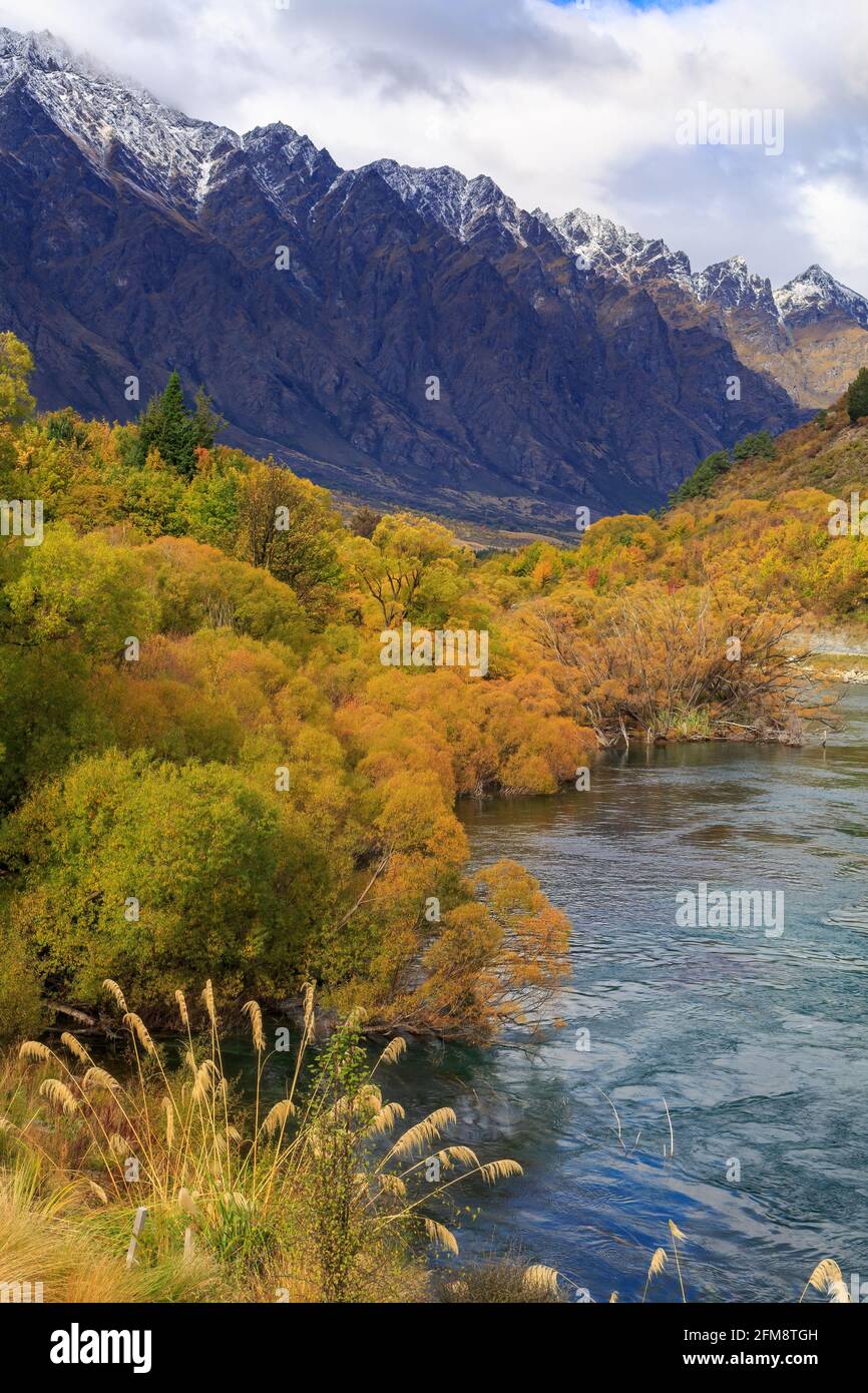 Paesaggio autunnale vicino a Queenstown, Nuova Zelanda. Il fiume Kawarau, circondato da colorati salici, di fronte ai Remarkables, una catena montuosa Foto Stock