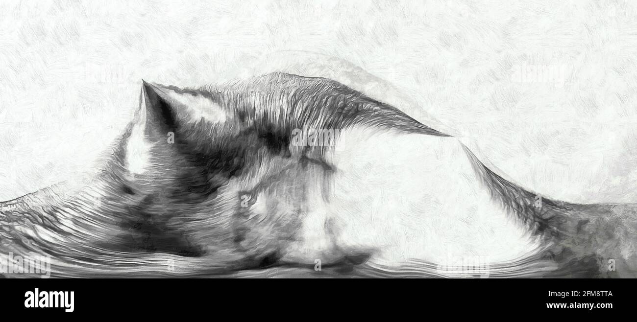 Sostanza nera astratta. Spazio virtuale. Sfondo bianco Foto Stock