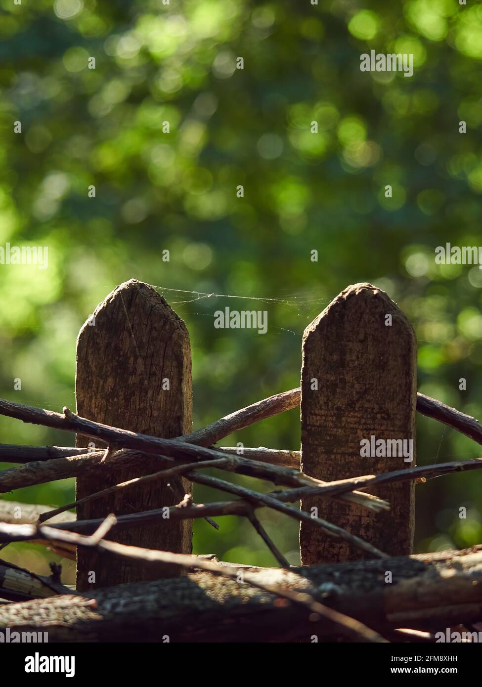 Due pali di recinzione in legno in piena luce solare, Uniti da garzette e da una delicata struttura a ragnatela, davanti a foglie sfocate di sole e ombra. Foto Stock