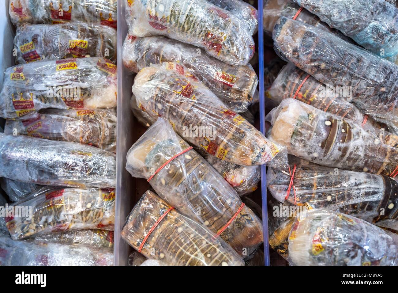 Saint Lawrence Market a Toronto, Canada. Il famoso luogo è considerato uno dei migliori mercati alimentari del mondo. L'immagine mostra una coda di aragosta cubana Foto Stock