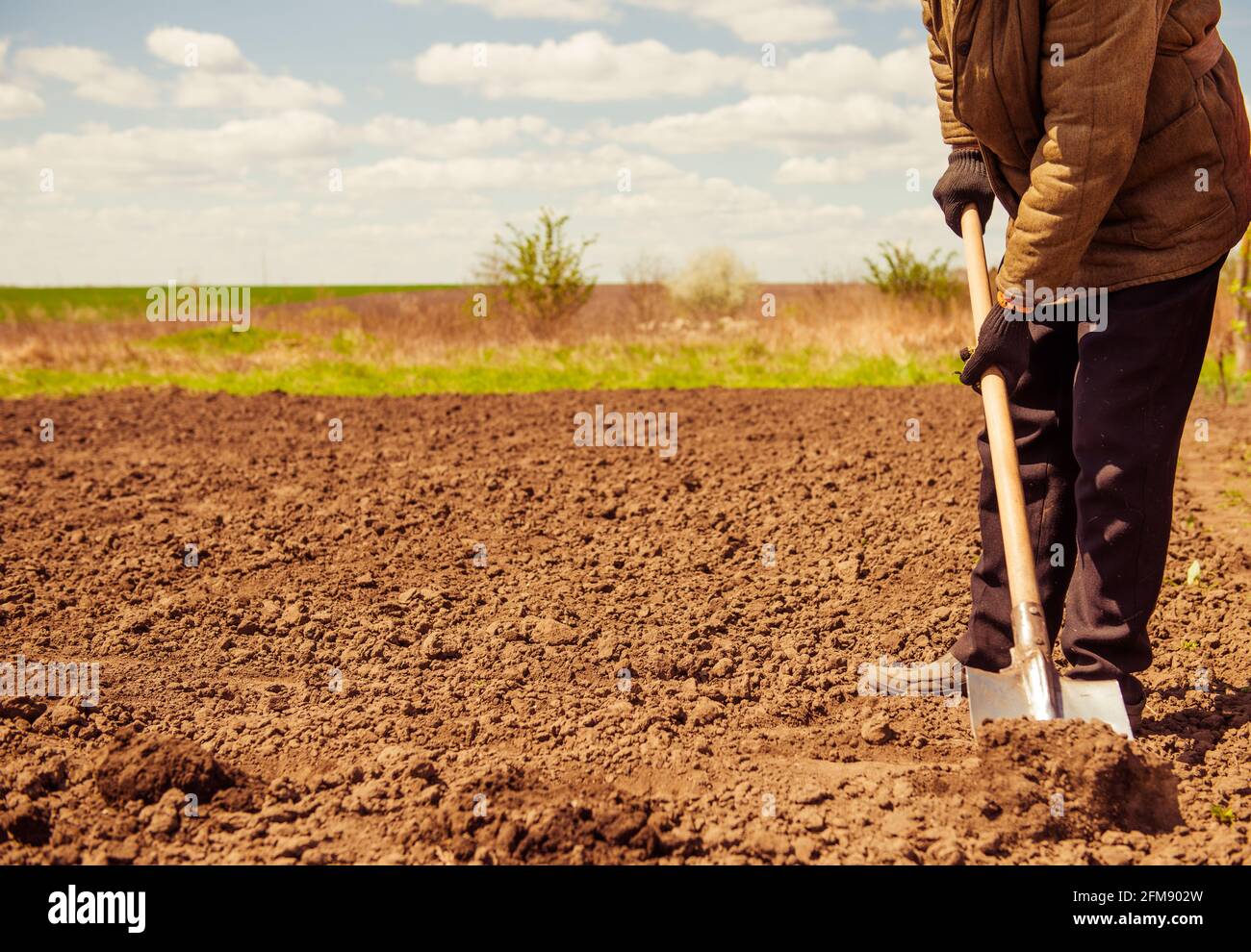 coltivatore anziano scavando terreno agricolo di primavera con pala Foto Stock