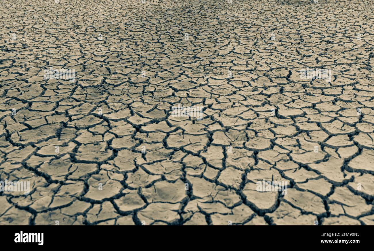 Superficie arida del deserto fangosa per sfondo naturale, strato, carta da parati, effetto fotografico. Bianco e nero immagine monocromatica degli effetti della siccità di g Foto Stock