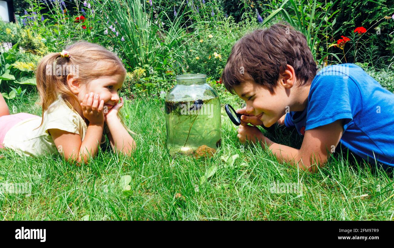 Idee di attività divertenti per i bambini in estate durante le vacanze scolastiche. I bambini utilizzano una lente di ingrandimento per esaminare le creature acquatiche catturate nella Foto Stock