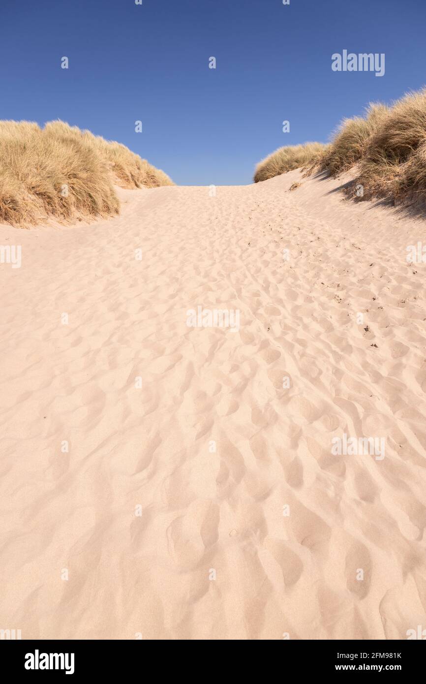 Dune di sabbia sulla spiaggia di Harlech, Gwynedd, Galles Foto Stock