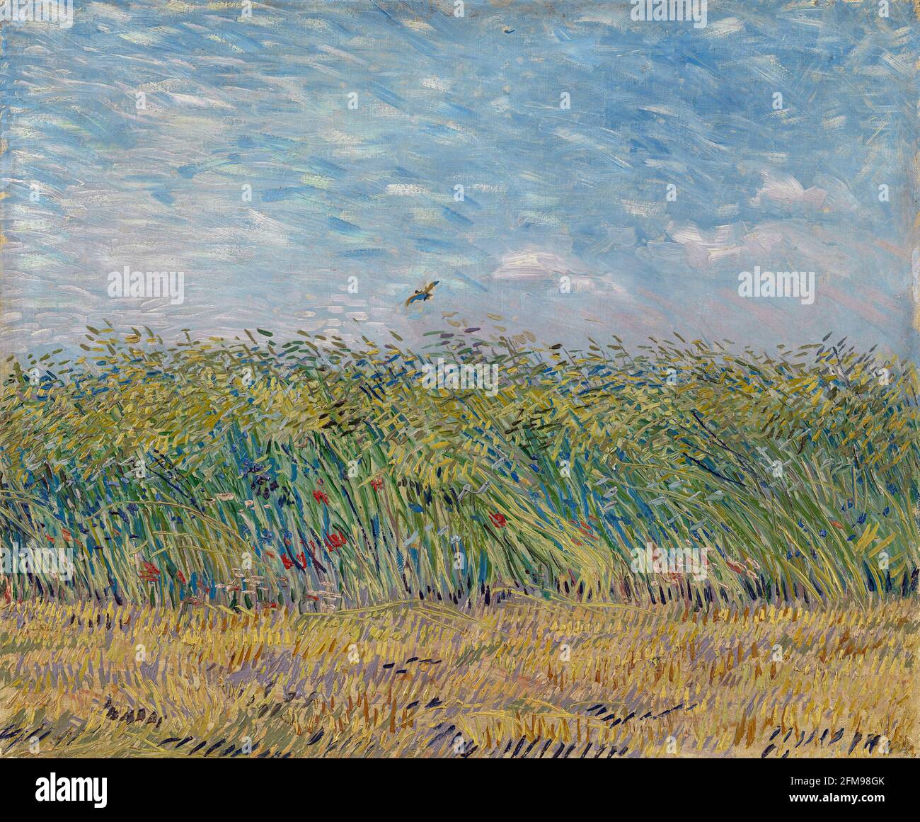 Vincent van Gogh, campo di grano con papaveri e Lark, 1887, Museo Van Gogh, Amsterdam, Paesi Bassi Foto Stock