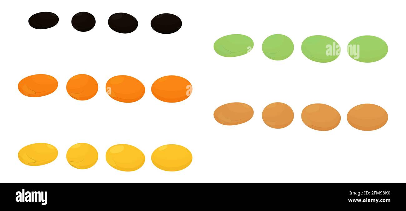 Insieme di lenticchie diverse isolate su sfondo bianco. Cartoon vettore nero, giallo, verde e marrone grani illustrazione. Illustrazione Vettoriale