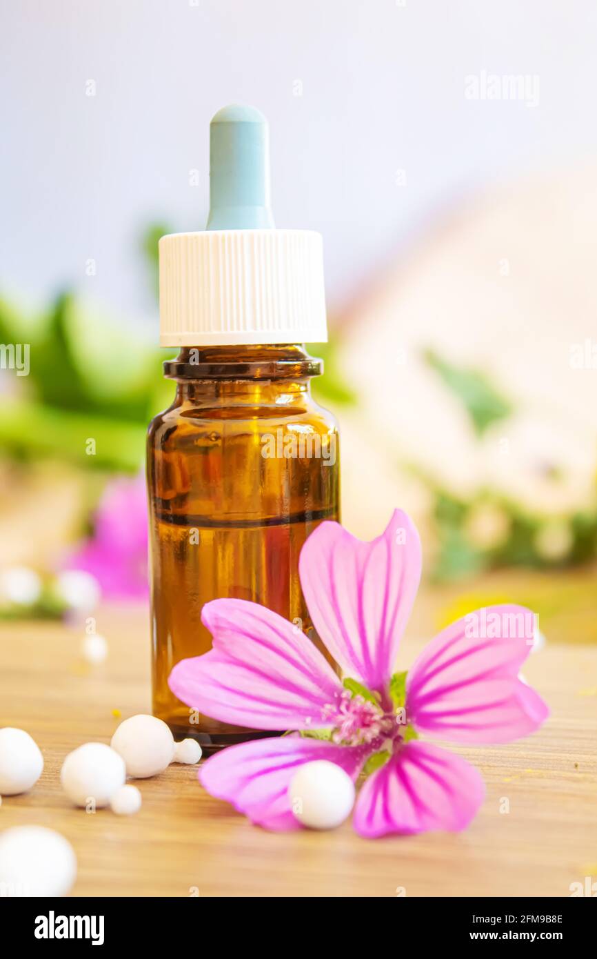 erbe medicinali, oli in piccole bottiglie omeopatia. fuoco selettivo Foto Stock