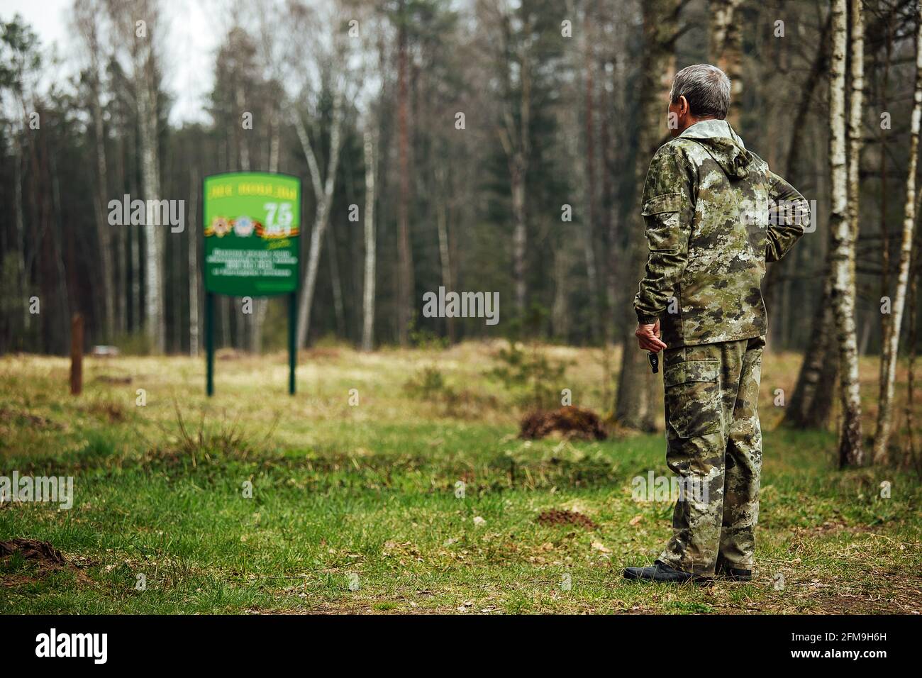 Abete vivaio. Riforestazione dopo il taglio. Agricoltura con preoccupazione per l'ambiente. Giovani alberi di Natale crescono sulla trama Foto Stock