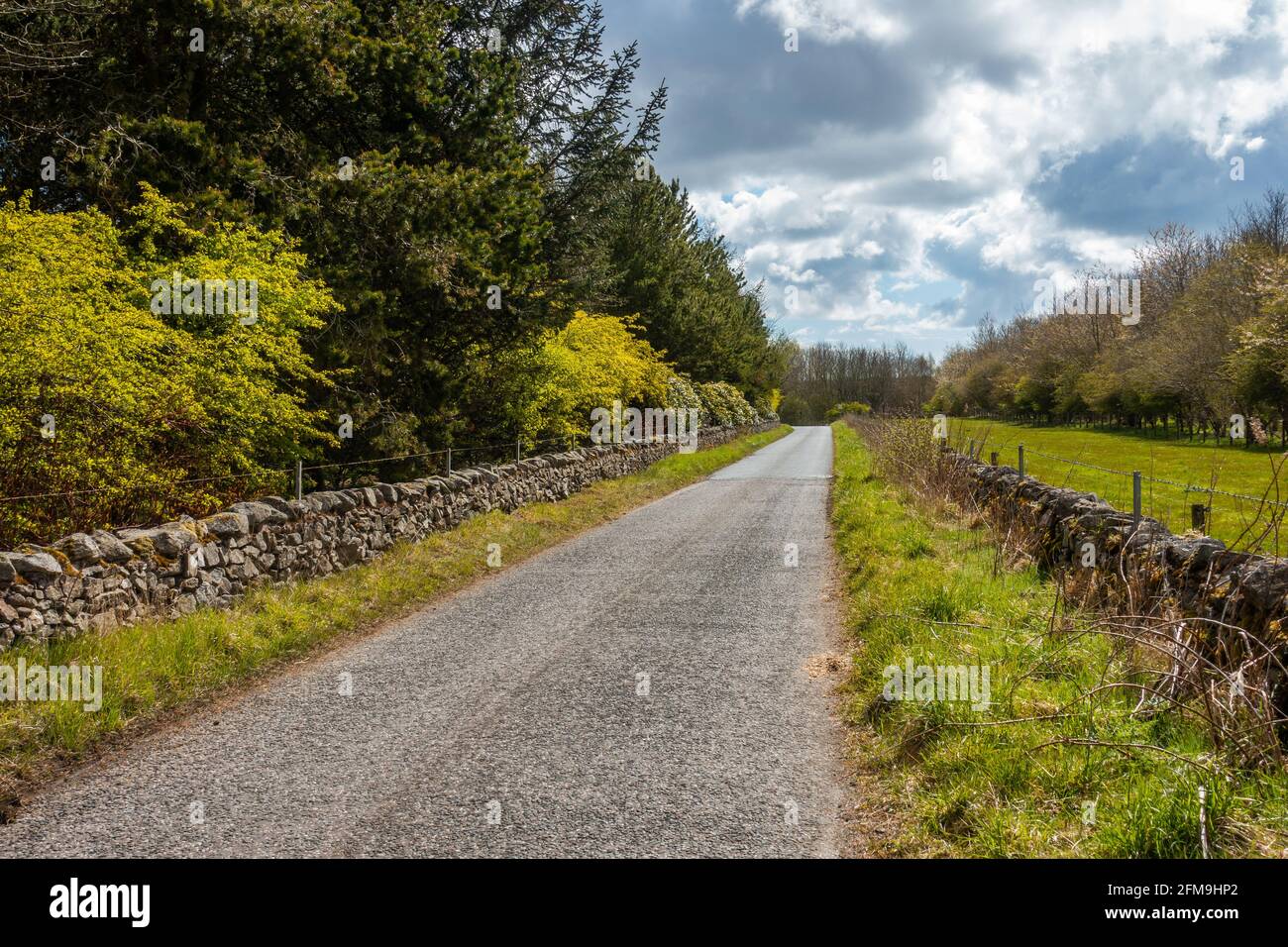 Una corsia rurale nel Regno Unito Foto Stock
