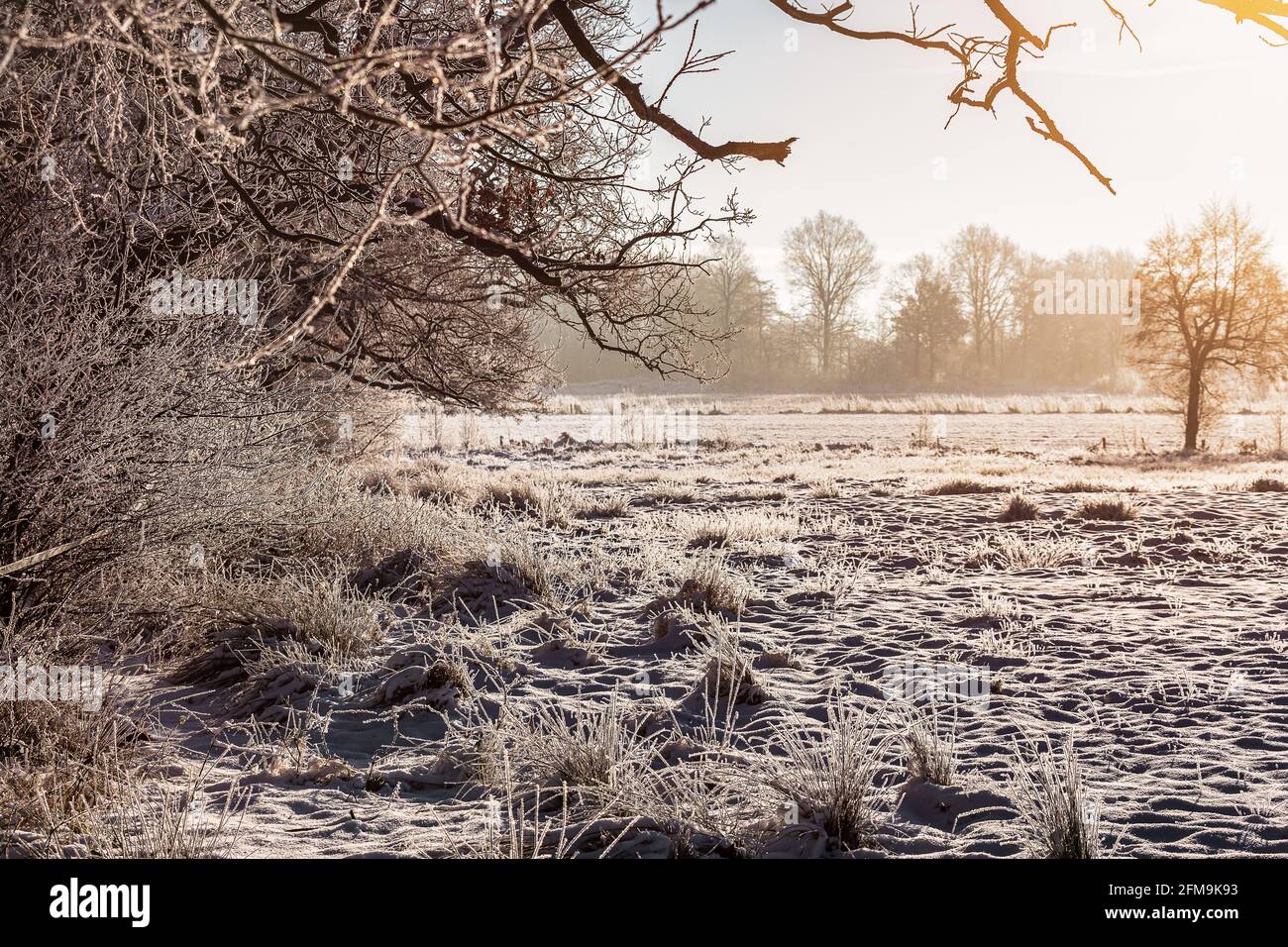 Alba a Wiesmoor, Eastfrisa in una fredda mattina d'inverno con neve e un'alba colorata. Foto Stock