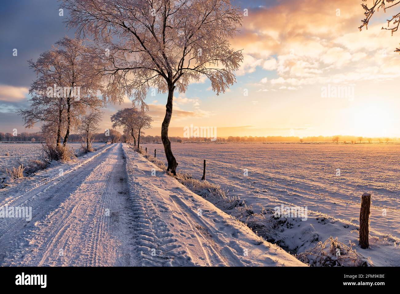 Alba a Wiesmoor, Eastfrisa in una fredda mattina d'inverno con neve e un'alba colorata. Foto Stock