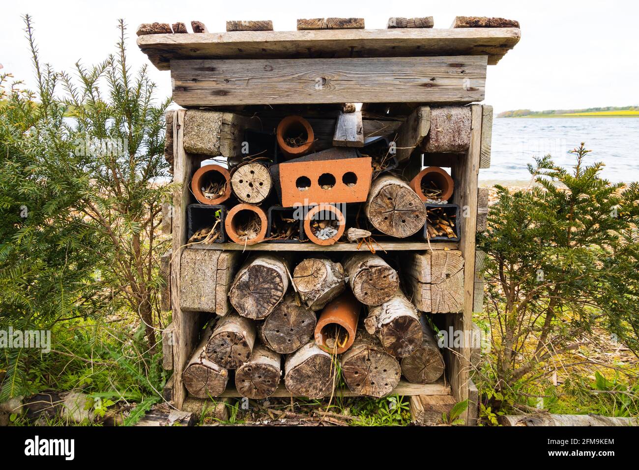 bug hotel, casa per insetti. Conservazione della fauna selvatica. Mattoni vecchi e legno con buchi forniscono l'ibernazione ideale e strutture di allevamento per insetti e api. Foto Stock