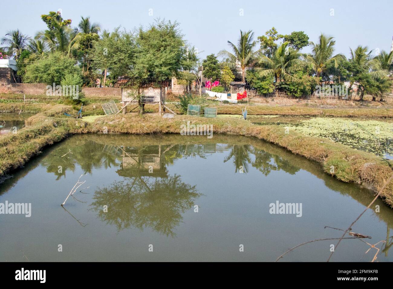 Paesaggio rurale a nord 24 Parganas bengala occidentale india Foto Stock