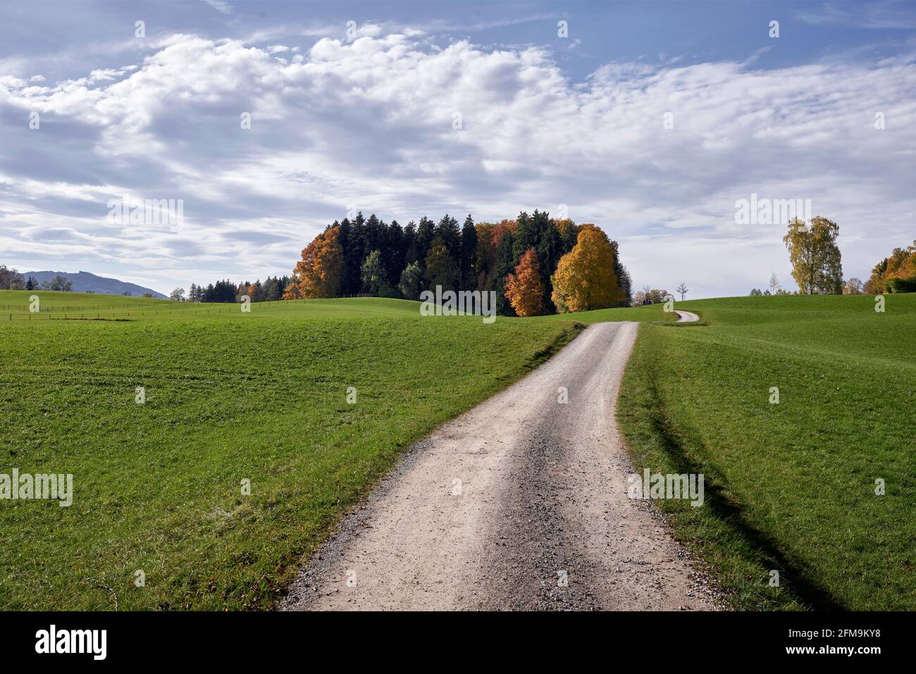 Strada sterrata nel paesaggio prealpino bavarese Foto Stock